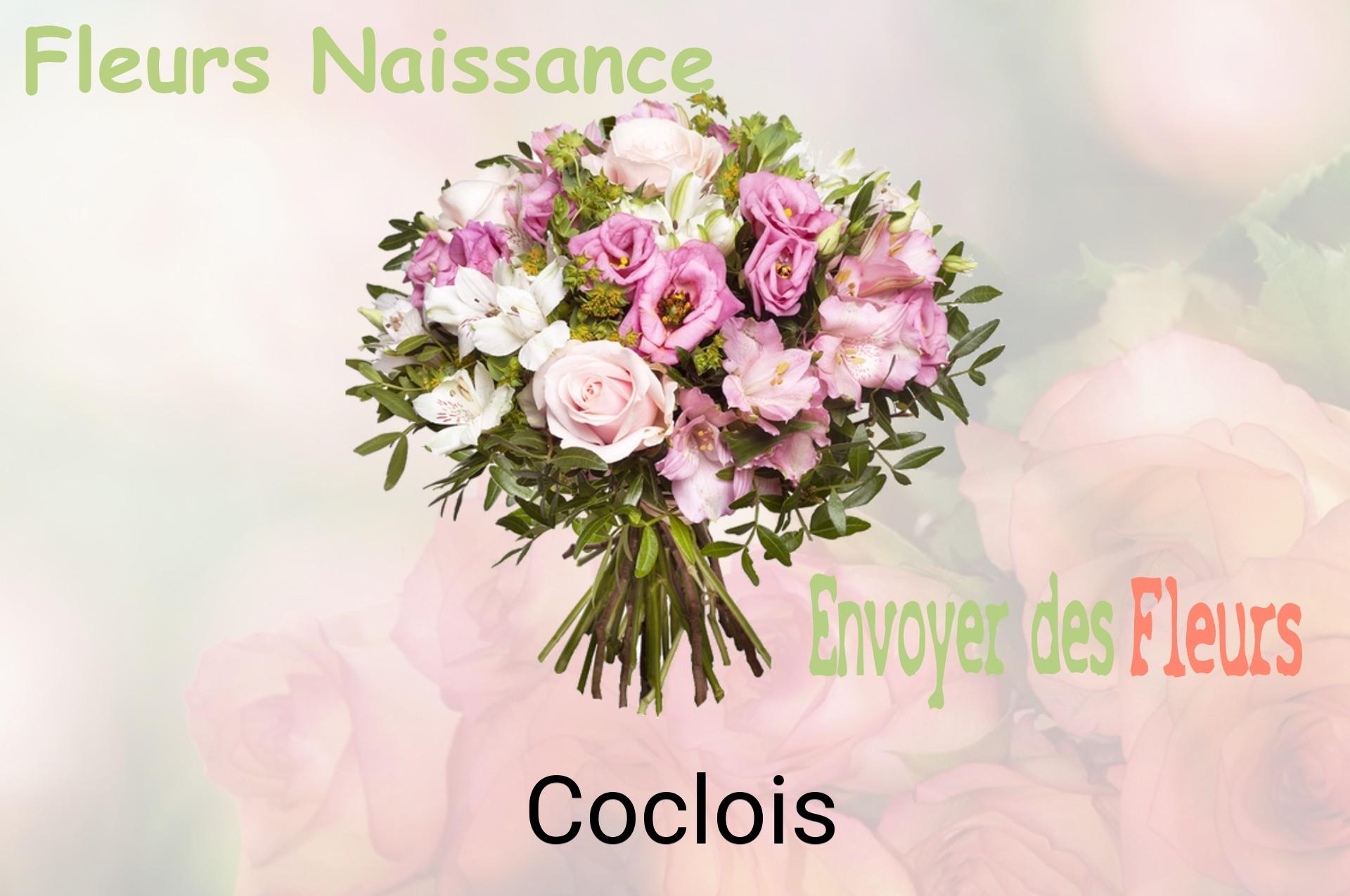Bouquet de fleurs de naissance livré à Coclois