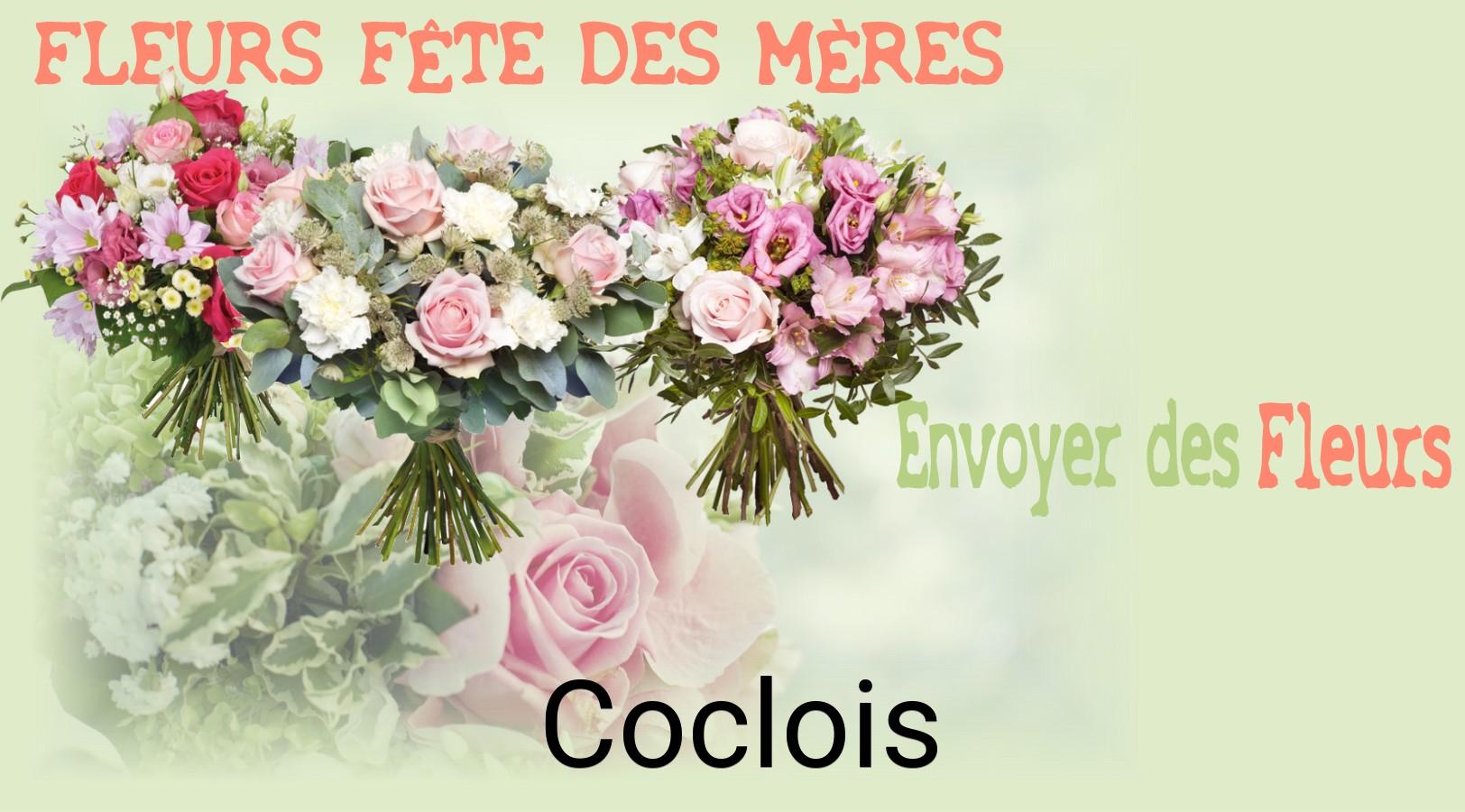 Bouquet de Fête des Mères livré à Coclois